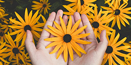 260px-self-care-leaders-blog