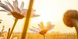 260px-stress mgt for leaders blog