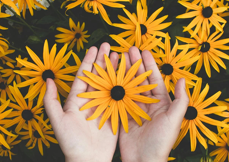 Rejuvenating Self-Care Tips for Leaders During Times of Change
