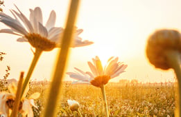Becoming a Better Leader: Know Your Stress and Solutions