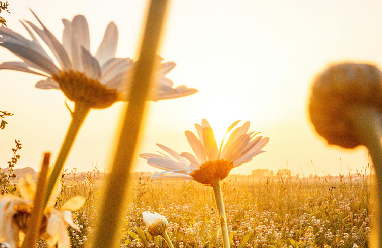 Becoming a Better Leader: Know Your Stress and Solutions