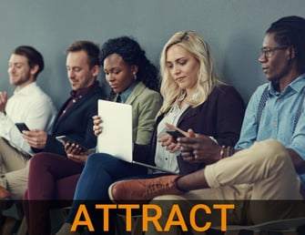 Attract (2)