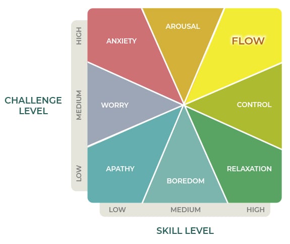 flow model