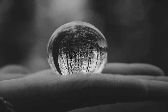 forest in a globe-bw-1200px-pexels-manfred-legasto-francisco-598911-1557848