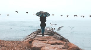 THE BUSINESS OF GRATITUDE