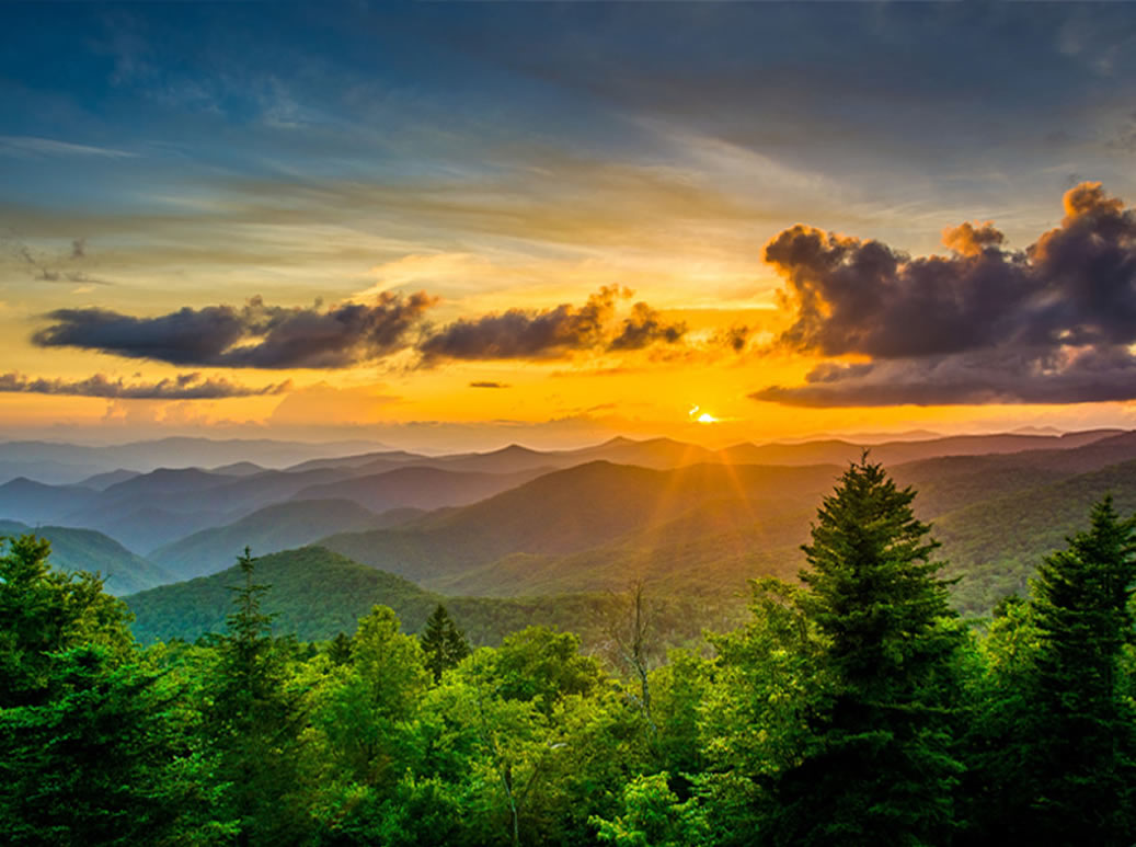 platinum-grp.com-asheville-left-hero.jpg