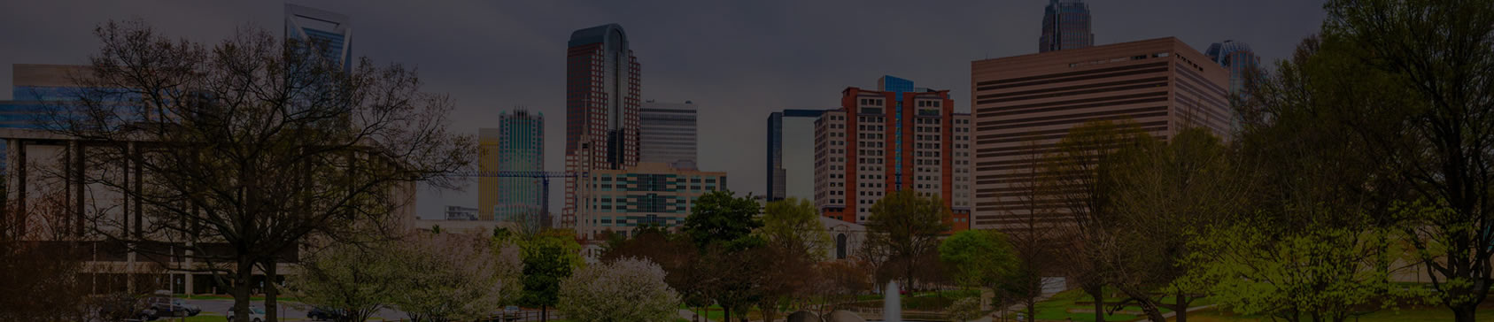 platinum-grp.com-charlotte-header.jpg