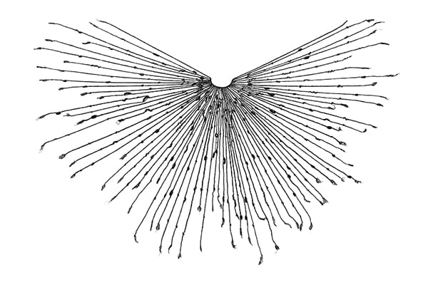 khipus