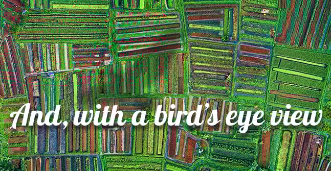 may-newsletter-farmers-crops-arial-view.build2