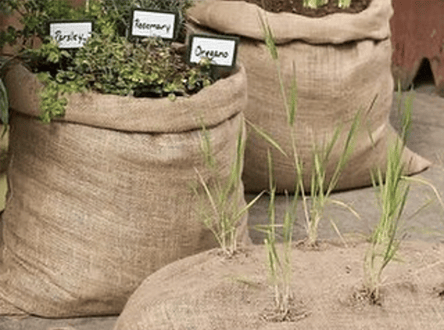 burlap-bags