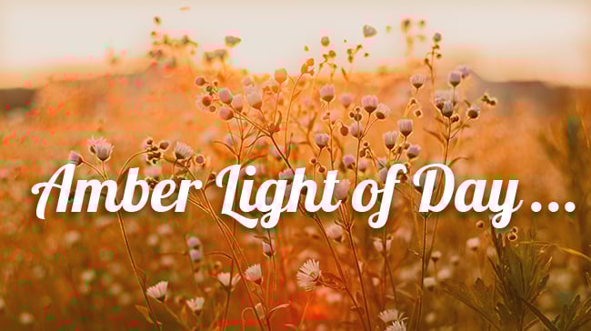 september newsletter cover4