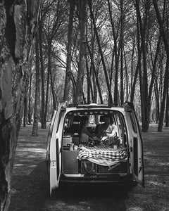 whitevan.woods.400px